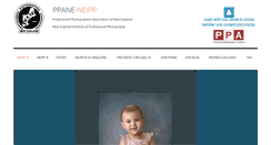 Desktop Screenshot of ppane.com