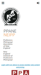 Mobile Screenshot of ppane.com